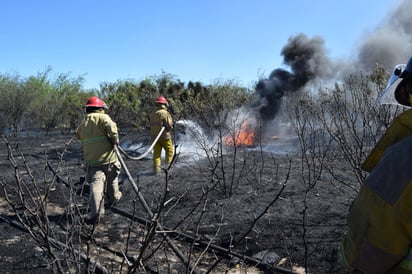 Combate Bomberos incendio de pastizal