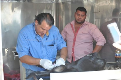 Tendrá Monclova Hospital Canino