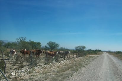 Recorre la policía ejidos afectados por abigeato