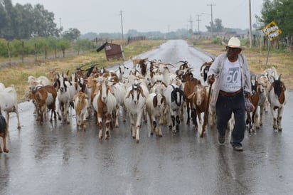 Corren con mejor suerte que Los productores de San Buena