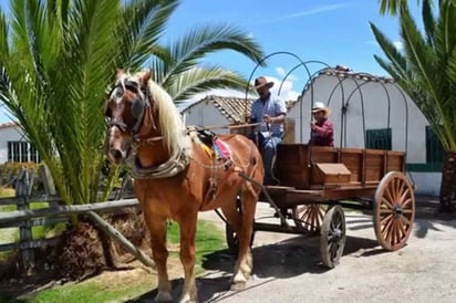 Exhortan a participar en Carretonada 2017