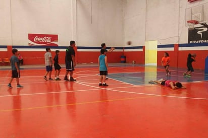 Exitosos cursos de basquetbol