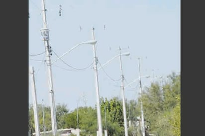 Coahuila, líder nacional en electrificación