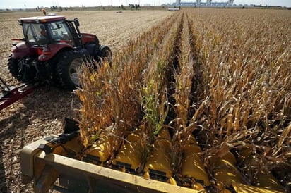 Aconseja EU a agro  prepararse ante TLC