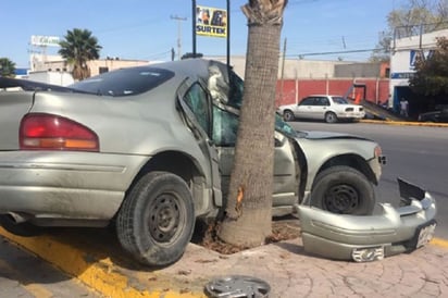 Se impacta en palmera