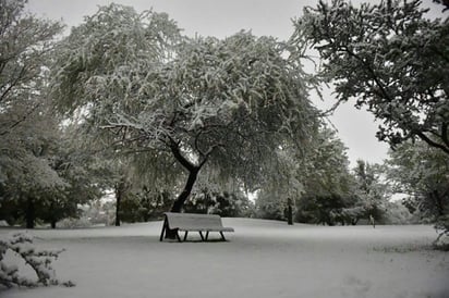 Gozan familias la nieve