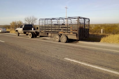 Detiene la Policía Federal a tres personas por abigeo