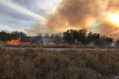 Llega incendio al patio de un hogar