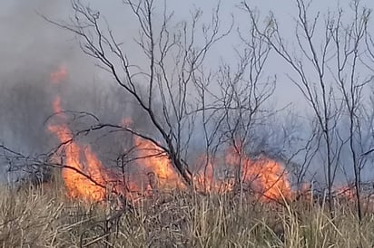 Dos nuevos incendios