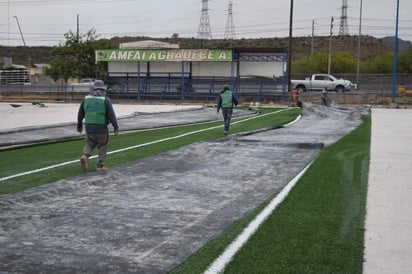 Siguen trabajos en campo de Búfalos