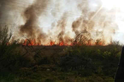 Apoya San Buena combate a incendio