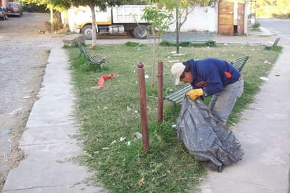 Embellecen los paseos públicos