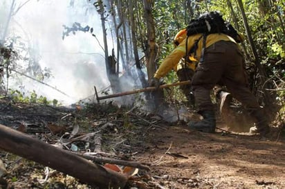 5 incendios forestales en lo que va del año