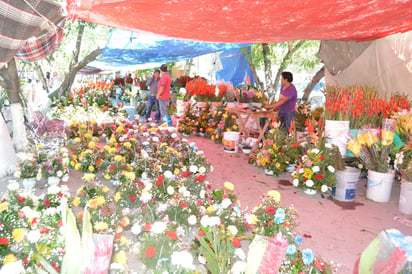 Llegan vendedores de flores a ofrecer sus productos