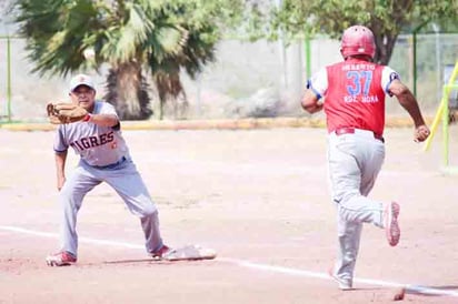 Rugen los Tigres ante Toros