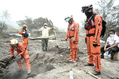 'Topos' mexicanos se integran a búsqueda