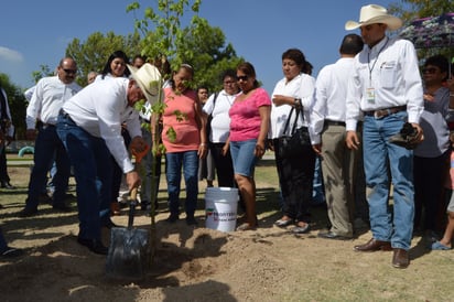 Ponen en marcha intenso Programa de Reforestación