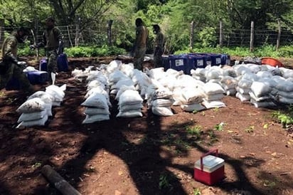 Aseguran 10 tons. de droga en Sinaloa