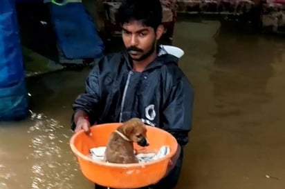 Más de mil muertos por inundaciones en India y Laos