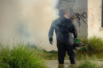 Intensifican acciones de fumigación tras las lluvias