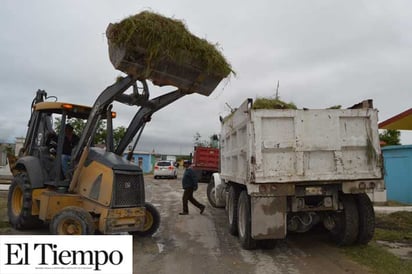 Intensifican trabajos de limpieza en el panteón