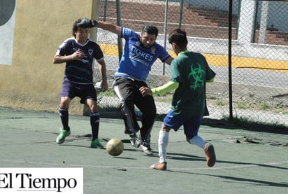 Burros tocaron la flauta