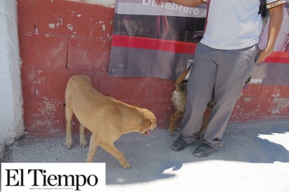 Exageró la madre de familia