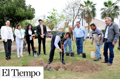 Celebran día mundial forestal