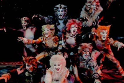 Cats sorprende en Baja California con Rocío Banquells