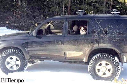 Se queda atrapado en la nieve; sobrevivió con salsa para tacos