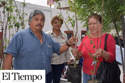 Donan a escuelas 160 árboles