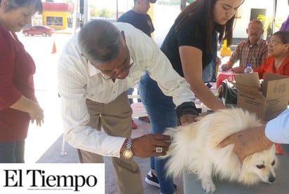 Vacunan a ¡80 perros en tres horas!