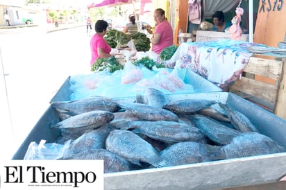 Alimentos de mar deben tener permisos de la SSA