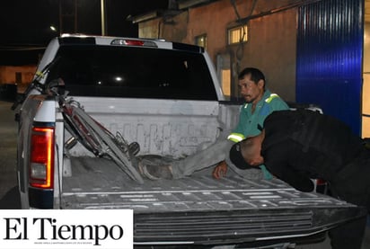 ‘Pisteaba’ en su bicicleta