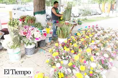 De todos tamaños, colores y precios