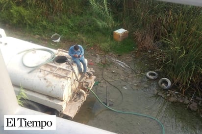 Piden a Ecología intervenir y proteger tortugas del Río