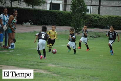 Felinos y Soccer Elite son finalistas