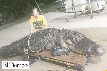 Un gigantesco caimán colisiona contra un camión