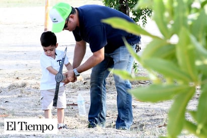 Exhortan al cuidado de árboles