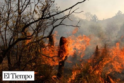 Combaten fuego en Valle de Bocatoche