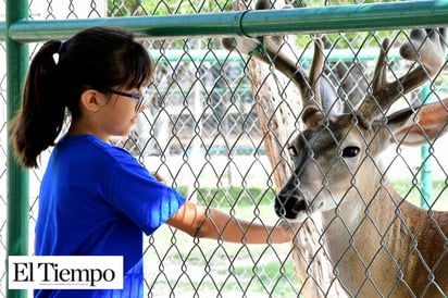 Sigue Paredes con pie firme para el rescate del zoológico