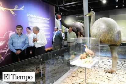 Recorre Gobernador Riquelme Museo de las Aves, en Saltillo