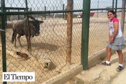 Van por reactivación de zoológico de Monclova