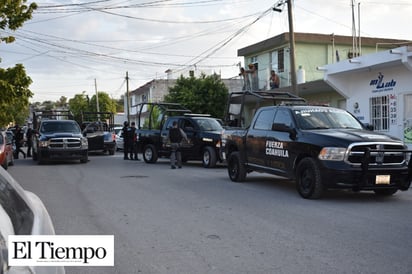 Tiran perro muerto en un contenedor