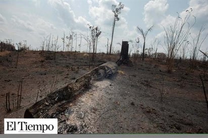 G7 ofrece a Brasil 20 mdd para combatir el fuego en la Amazonía