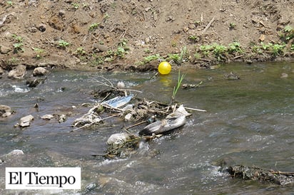 Siguen tirando la basura al arroyo