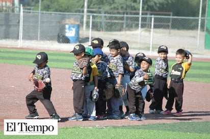 Yankees caza a los Halcones