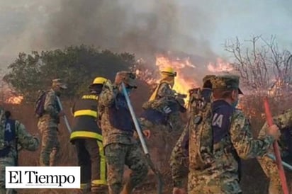 Murió abrazado a su perro, víctima de incendios en Baja California