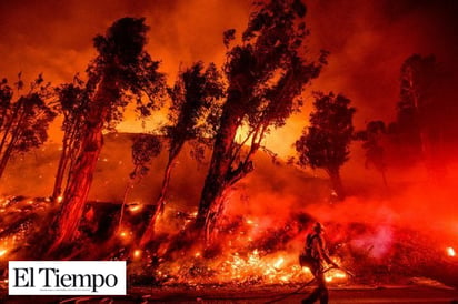 Trump no quiere dar dinero para incendios en California porque 'cada año es lo mismo'