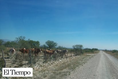 Miedo a la inseguridad en Ejido Estación Baján